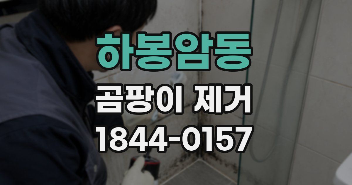 하봉암동 곰팡이 제거
