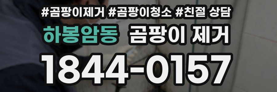 하봉암동 곰팡이 제거