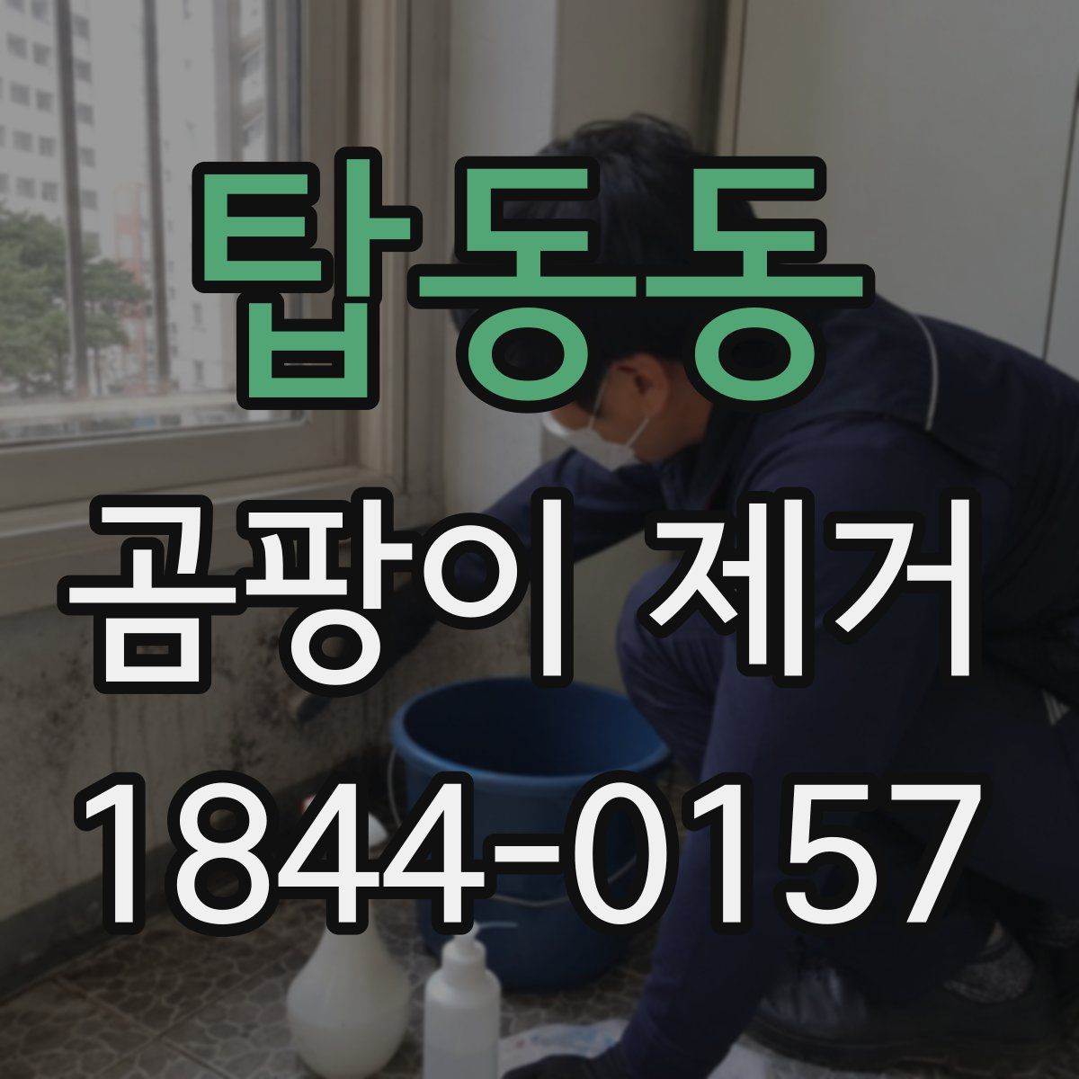 탑동동 곰팡이 제거