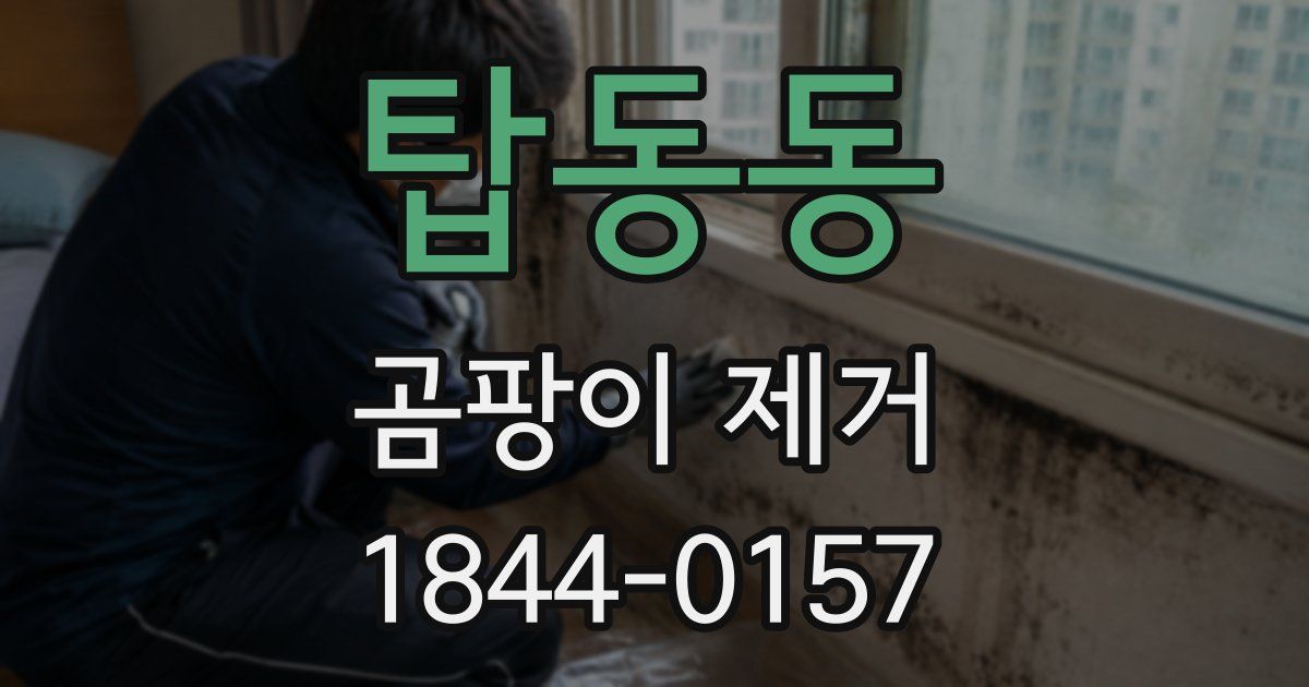 탑동동 곰팡이 제거