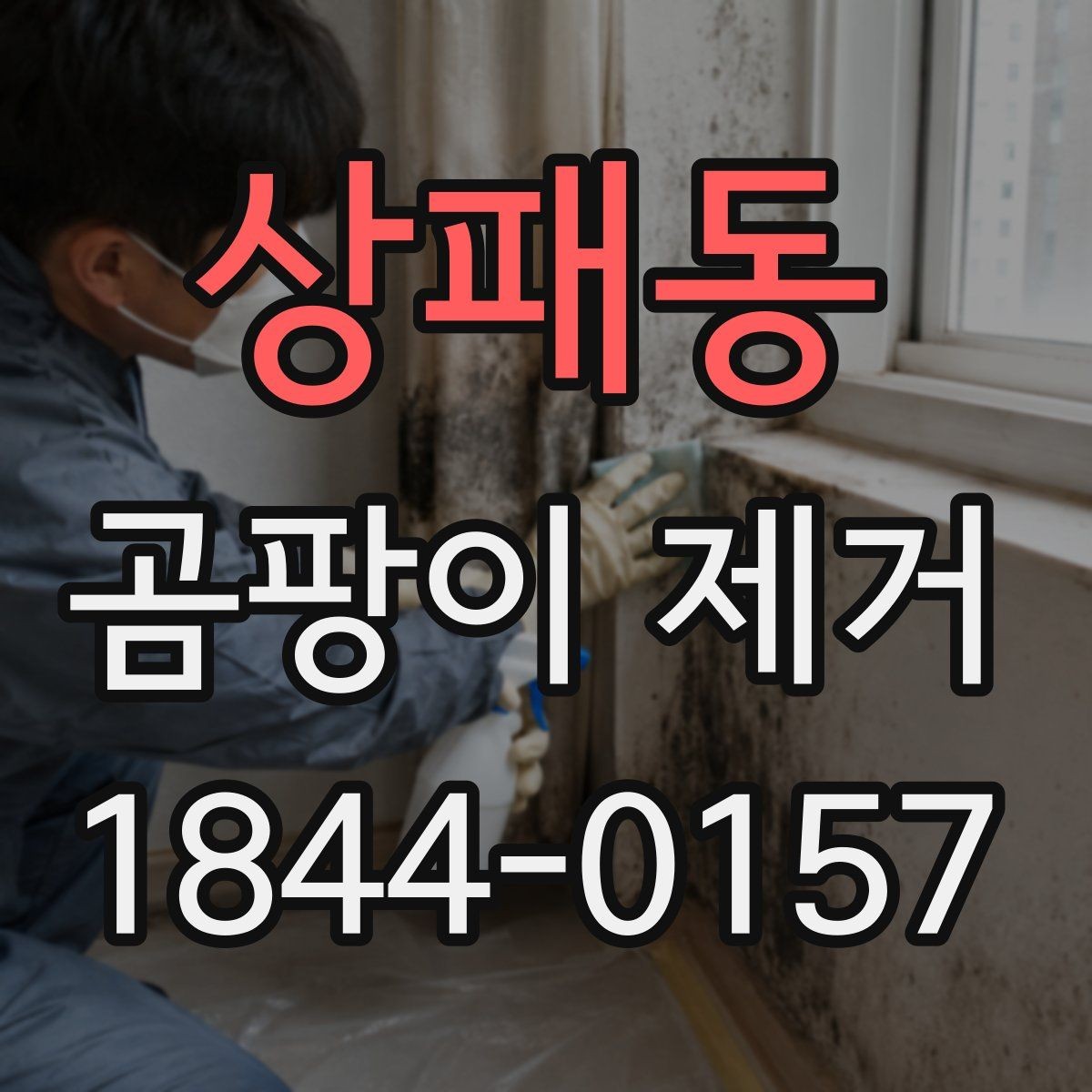 상패동 곰팡이 제거 후 재발 원인을 점검하는 습관