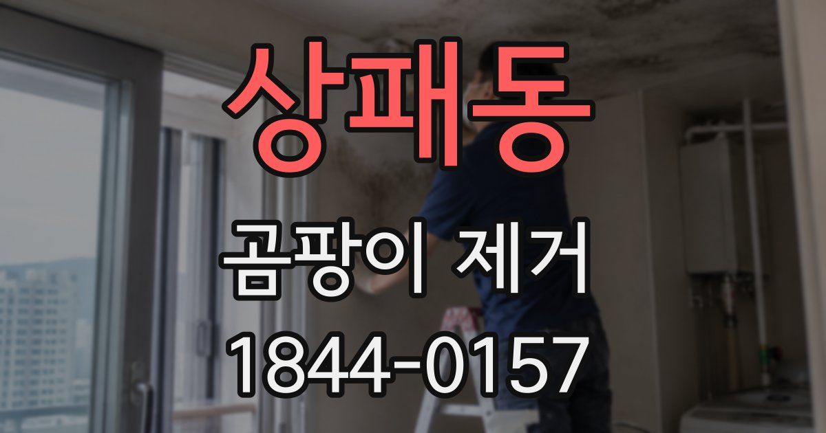 상패동 곰팡이 제거