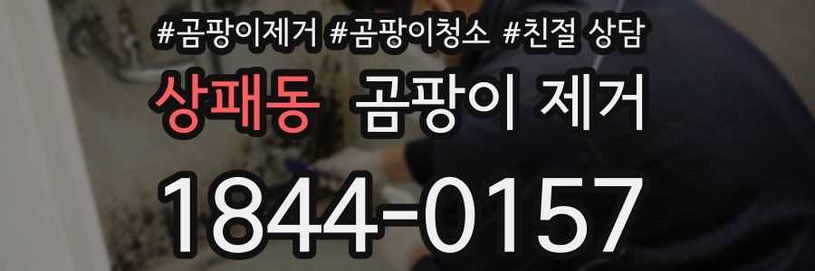상패동 곰팡이 제거