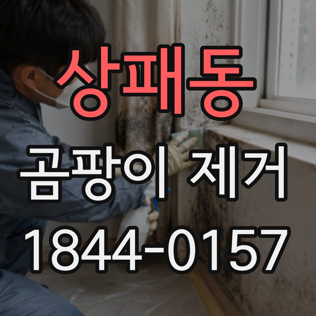 상패동 곰팡이 제거