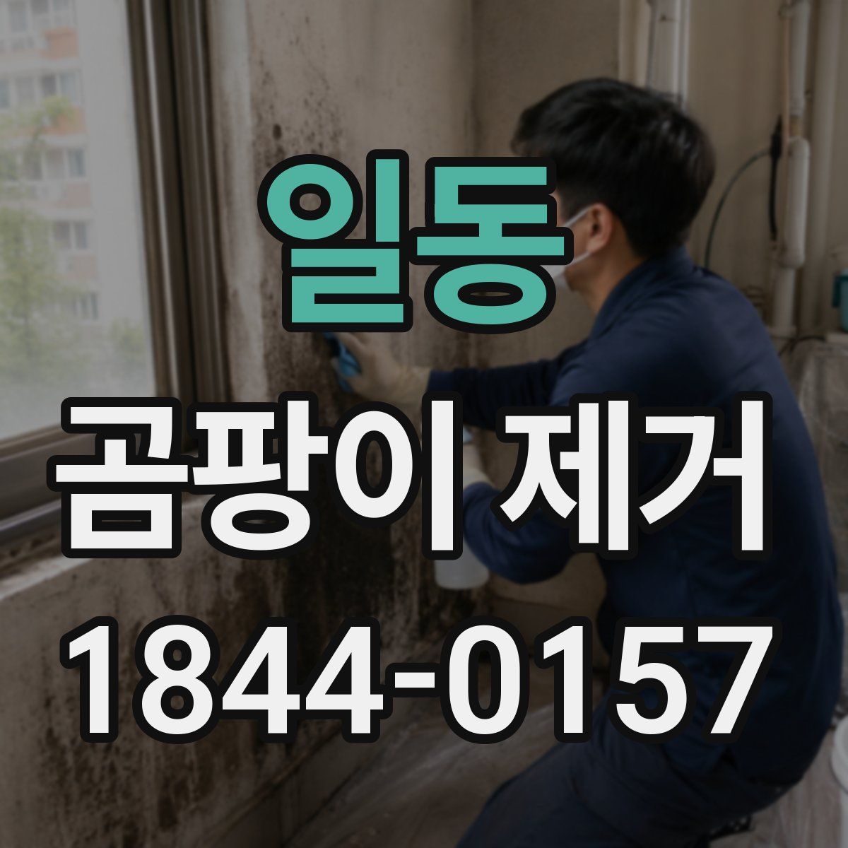 일동 곰팡이 제거