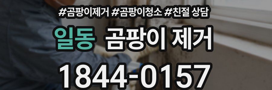 일동 곰팡이 제거
