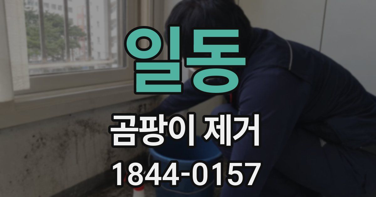 일동 곰팡이 제거