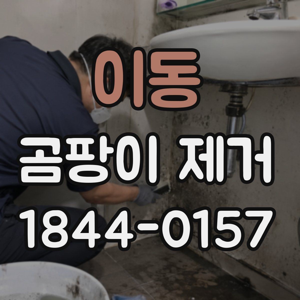 이동 곰팡이 제거 후 재발을 줄이는 관리법