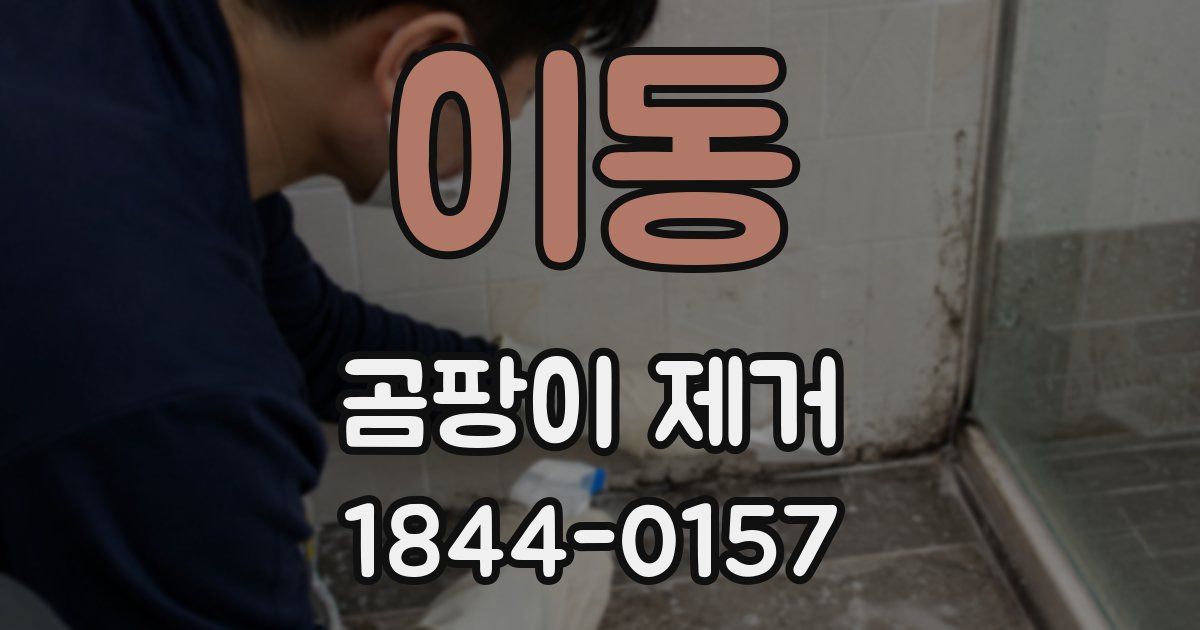 이동 곰팡이 제거