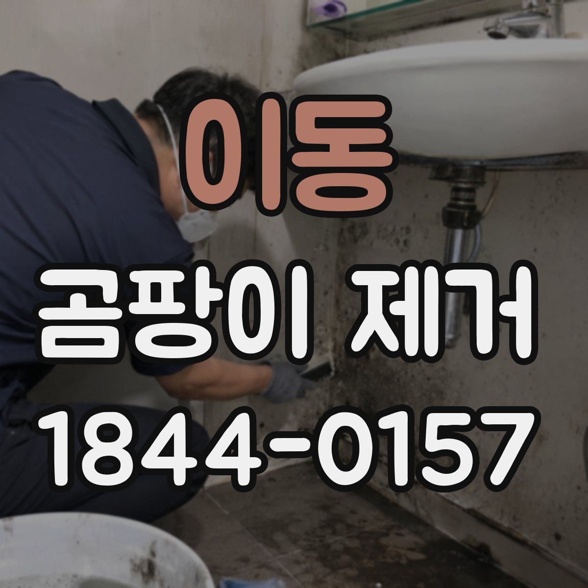 이동 곰팡이 제거