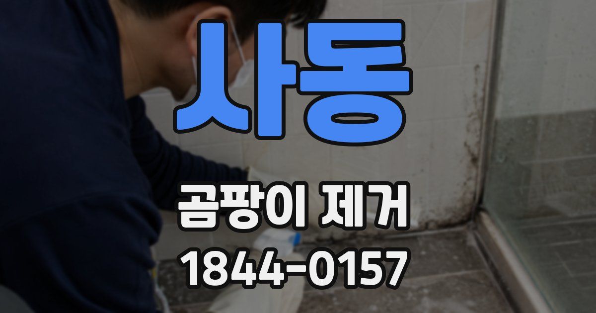 사동 곰팡이 제거