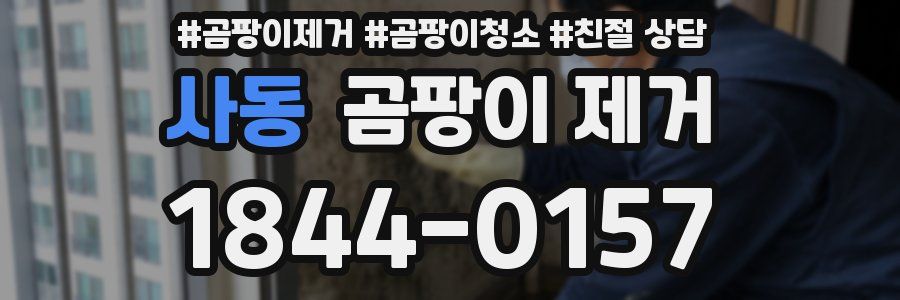사동 곰팡이 제거