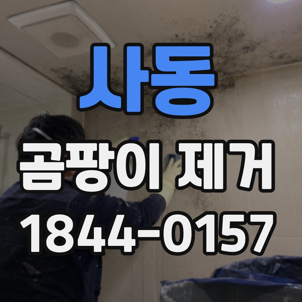 사동 곰팡이 제거