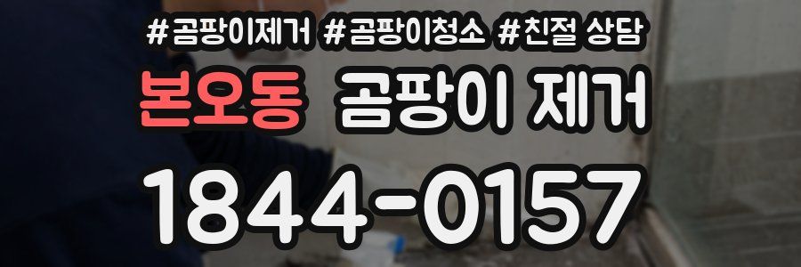 본오동 곰팡이 제거