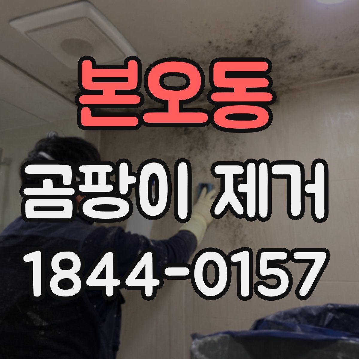 본오동 곰팡이 제거