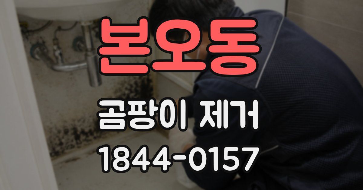 본오동 곰팡이 제거