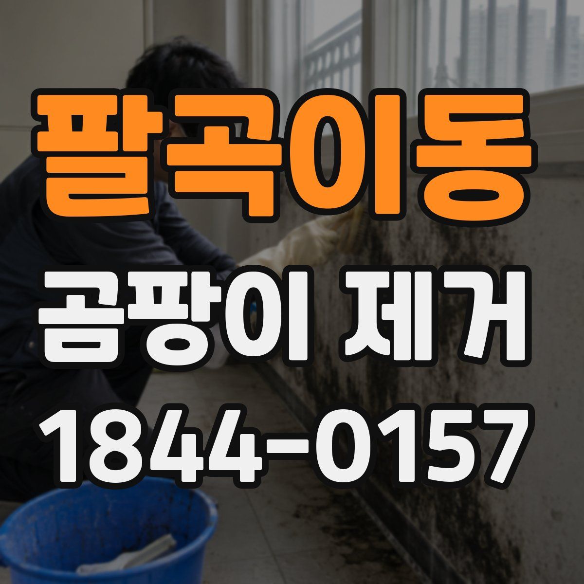 팔곡이동 곰팡이 제거