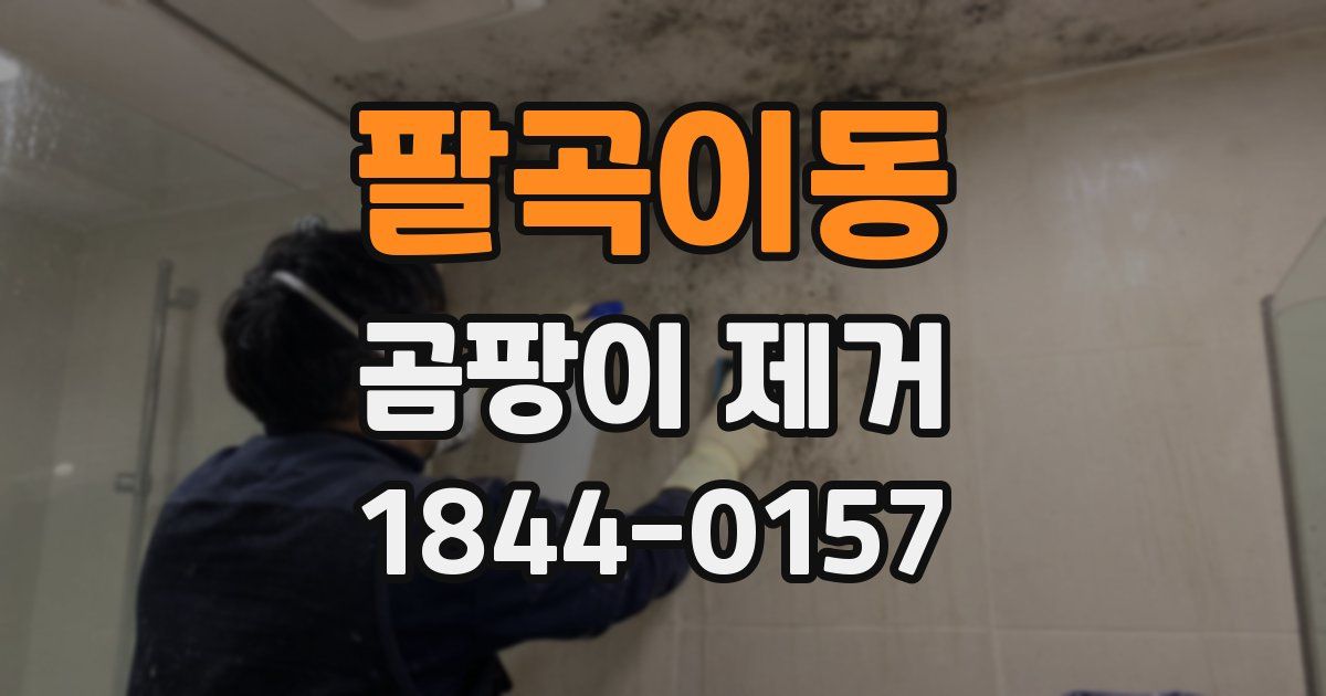 팔곡이동 곰팡이 제거