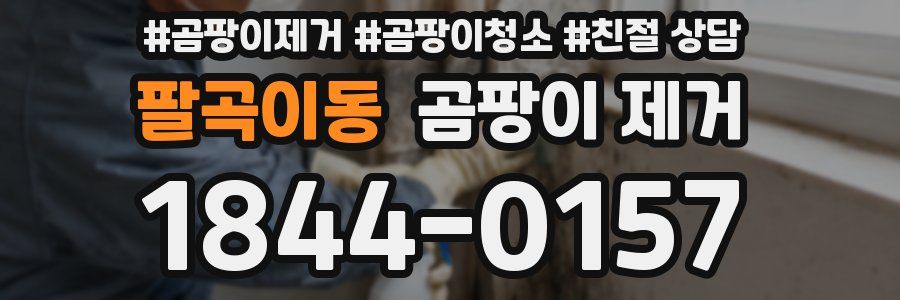 팔곡이동 곰팡이 제거