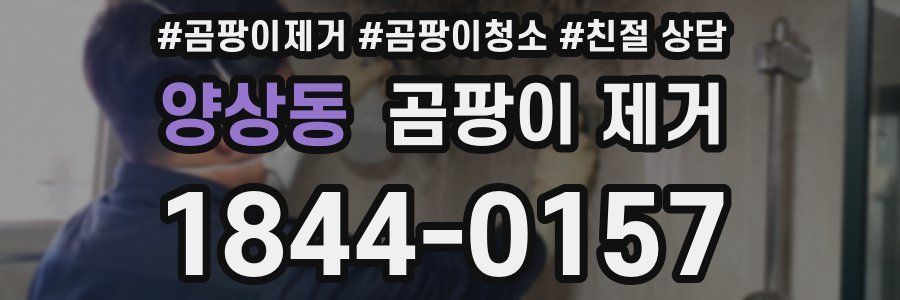 양상동 곰팡이 제거