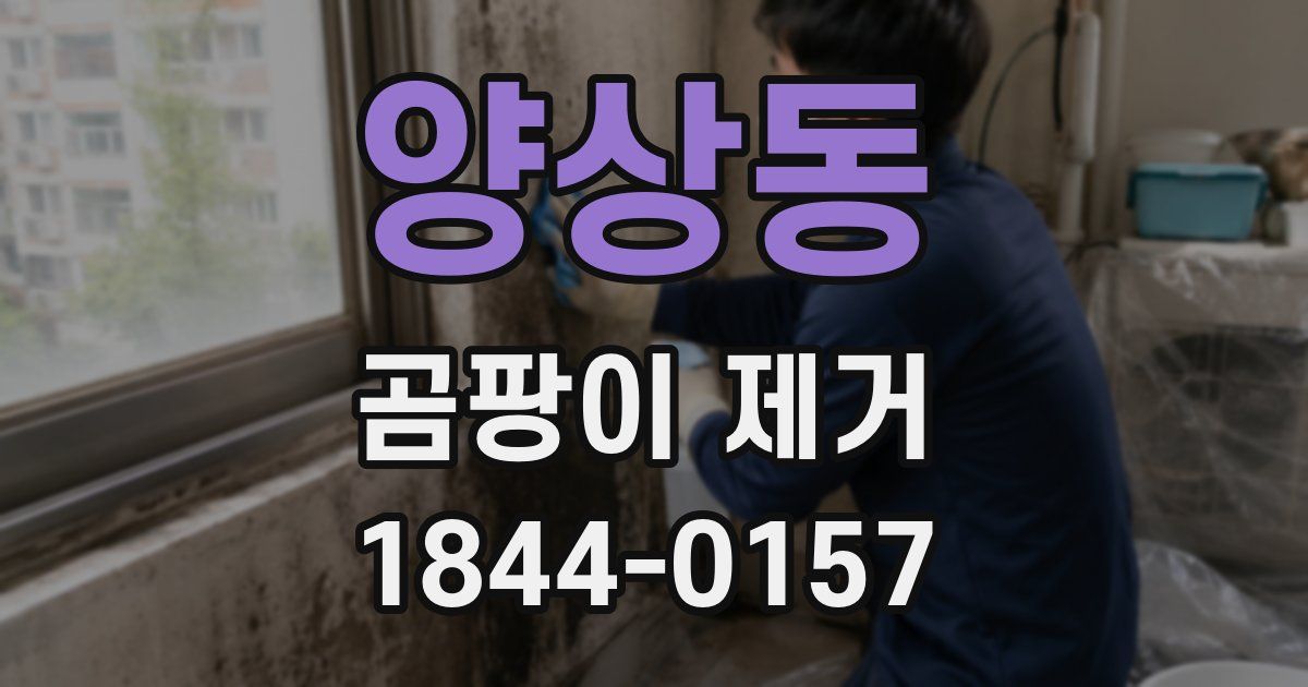 양상동 곰팡이 제거