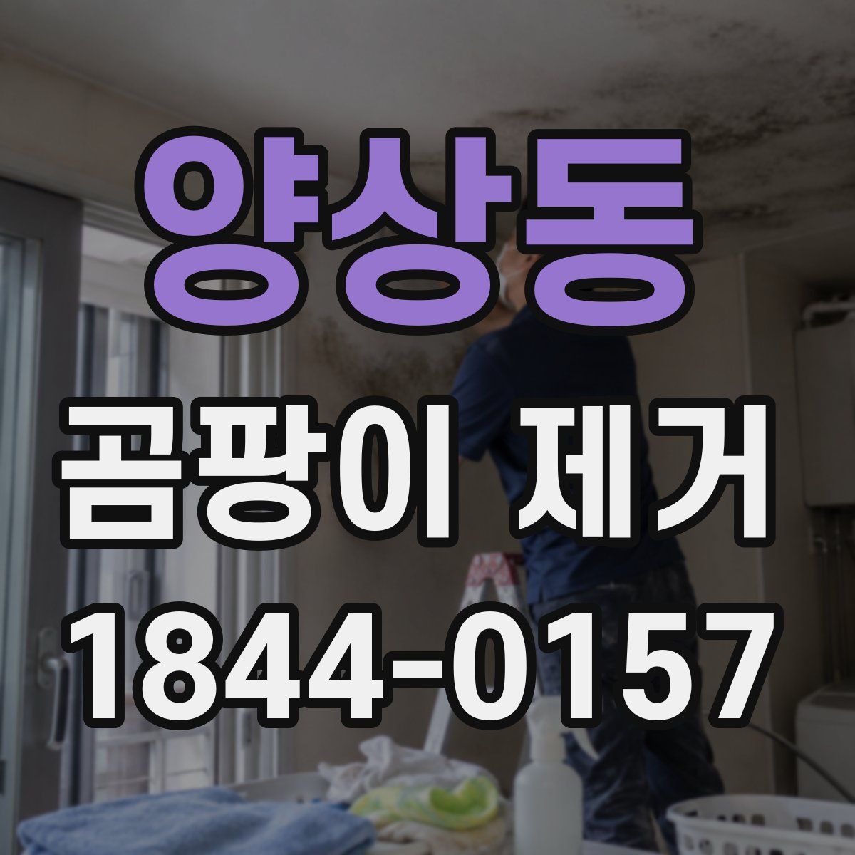 양상동 곰팡이 제거
