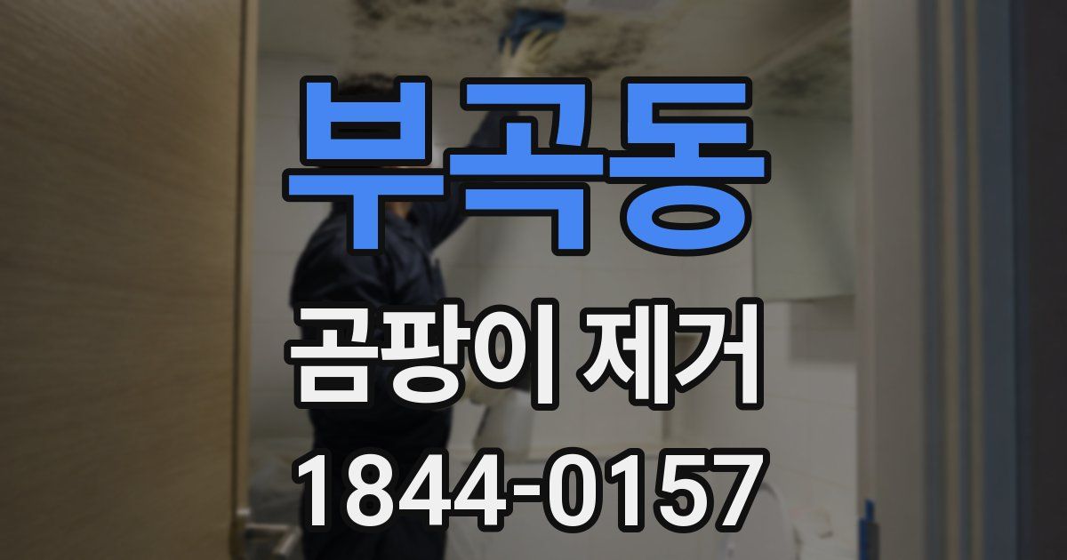 부곡동 곰팡이 제거