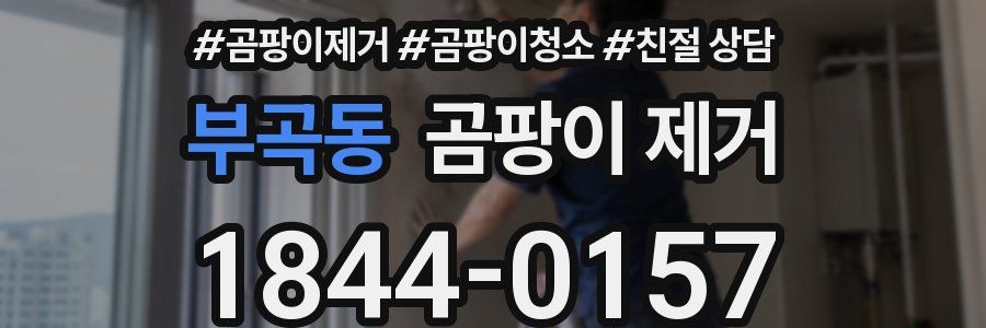 부곡동 곰팡이 제거