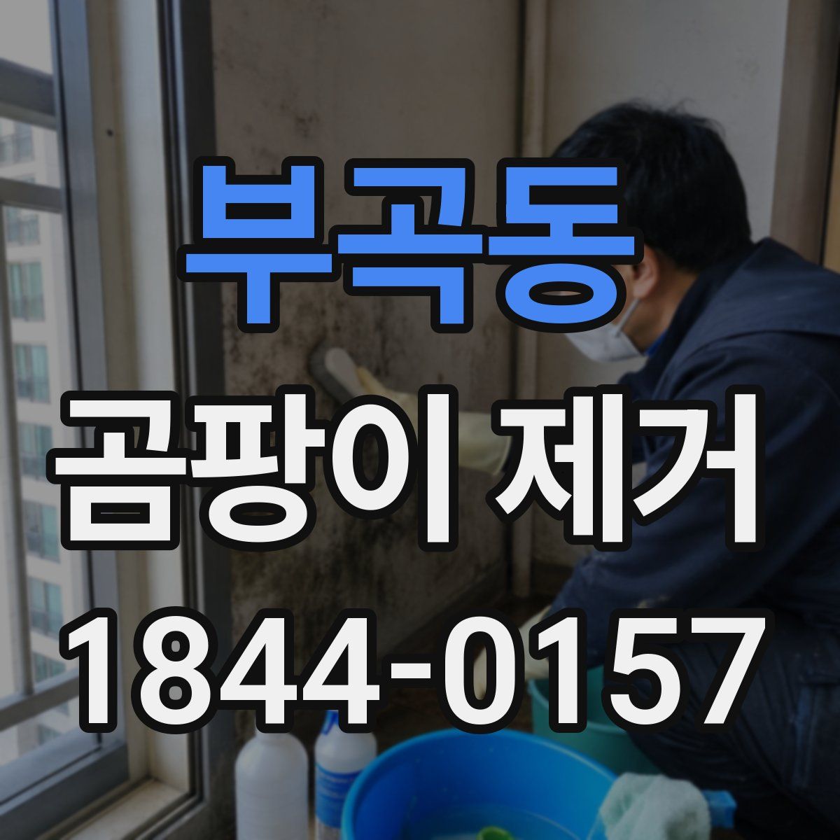 부곡동 곰팡이 제거