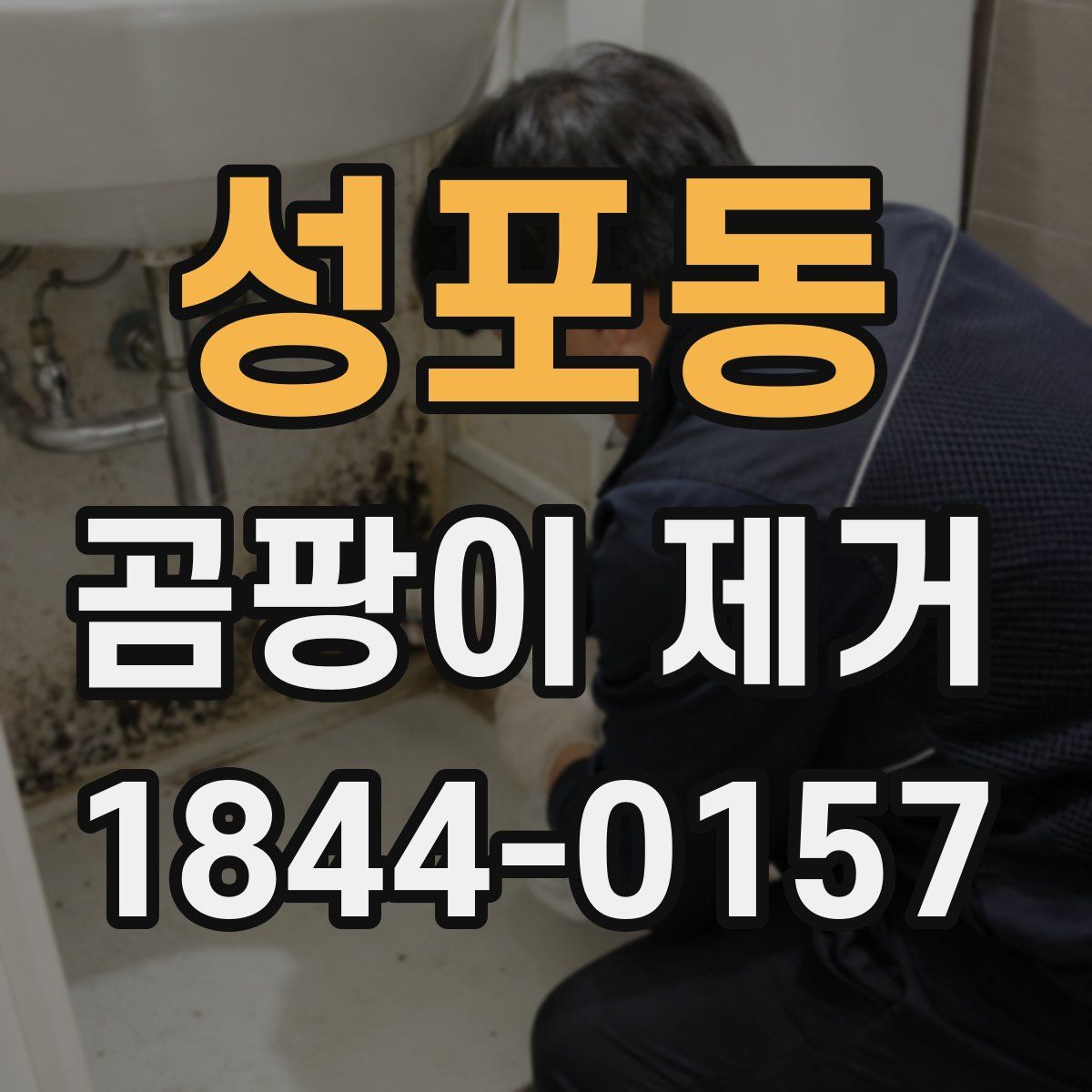 성포동 곰팡이 제거