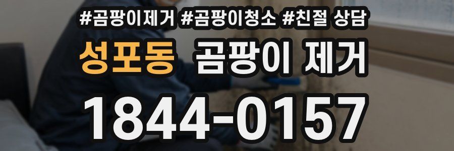성포동 곰팡이 제거