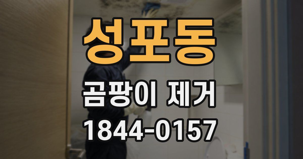 성포동 곰팡이 제거