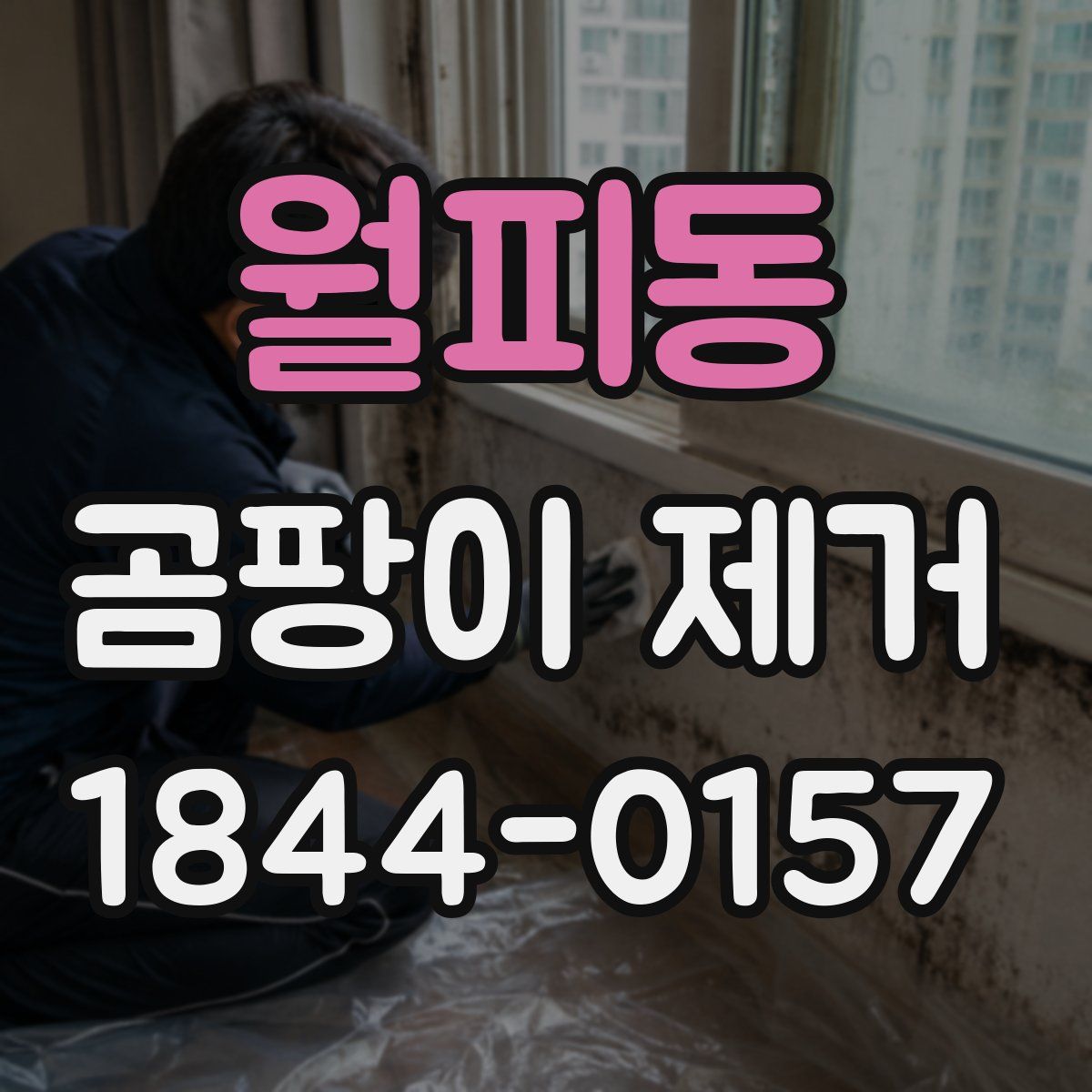 월피동 곰팡이 제거