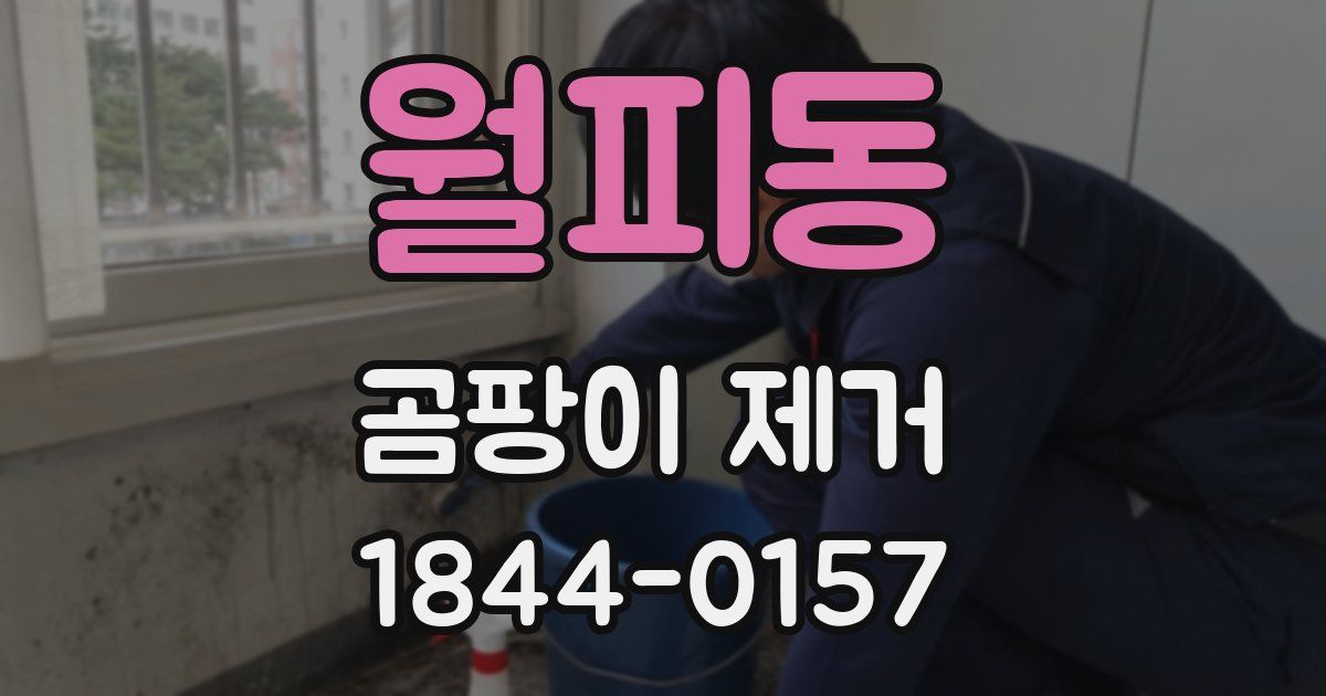 월피동 곰팡이 제거