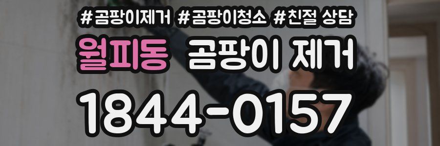 월피동 곰팡이 제거