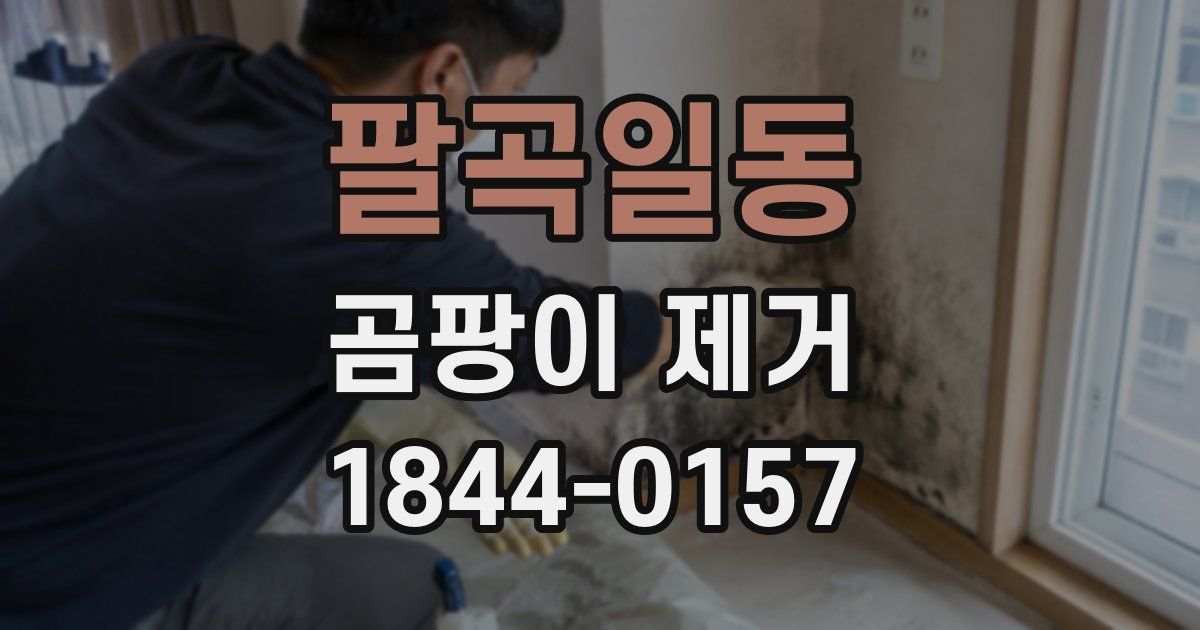 팔곡일동 곰팡이 제거