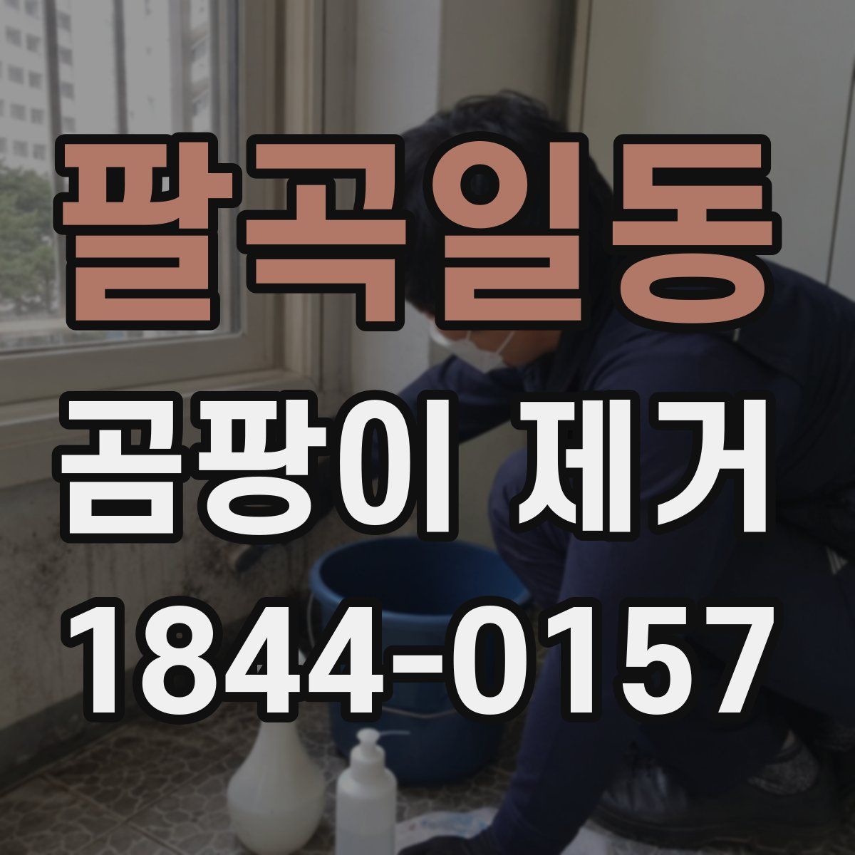 팔곡일동 곰팡이 제거