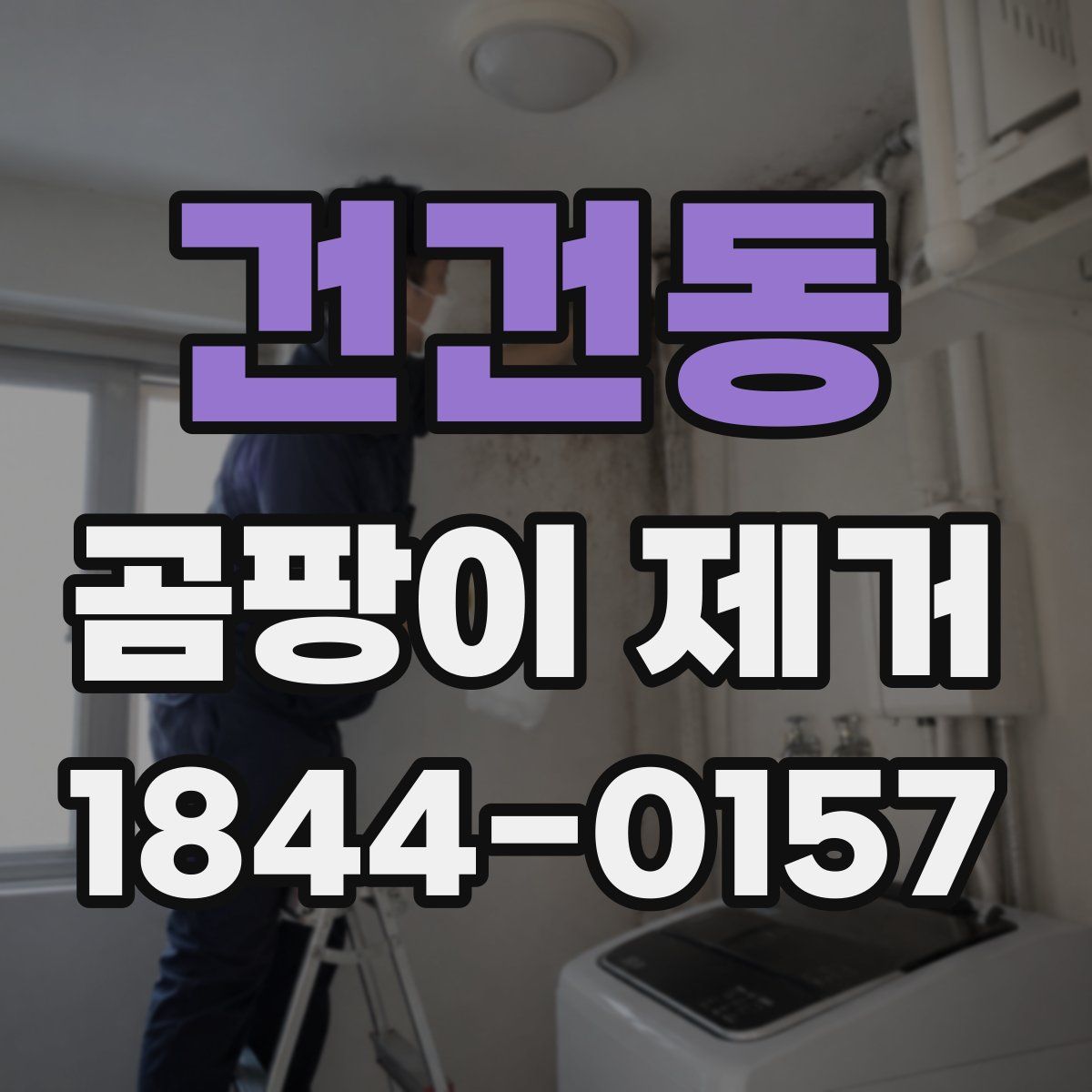 건건동 곰팡이 제거
