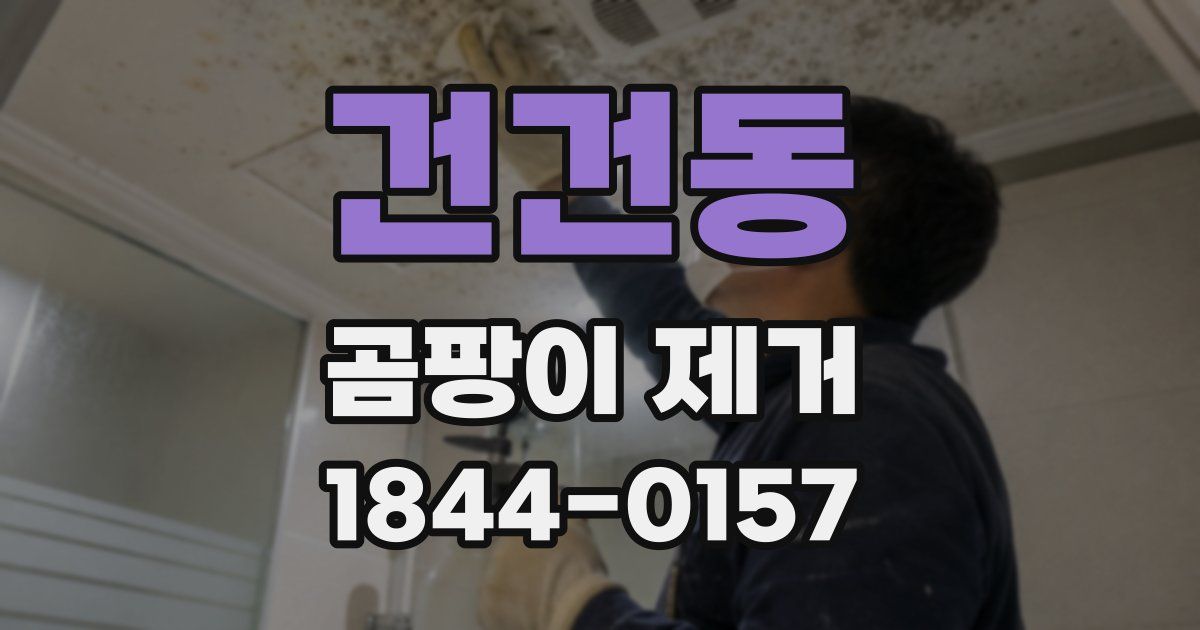 건건동 곰팡이 제거