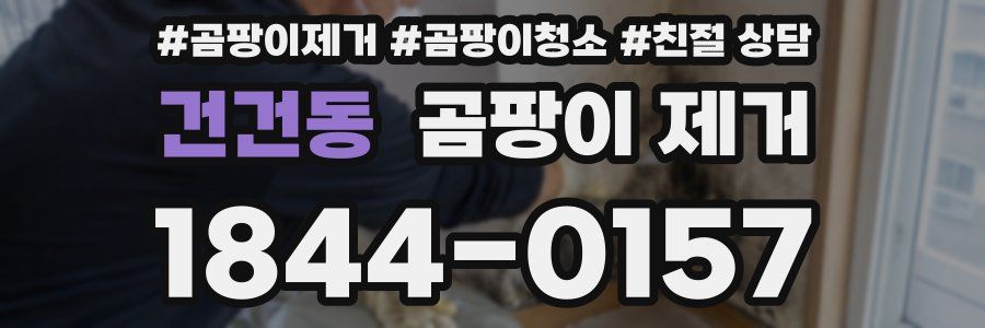 건건동 곰팡이 제거