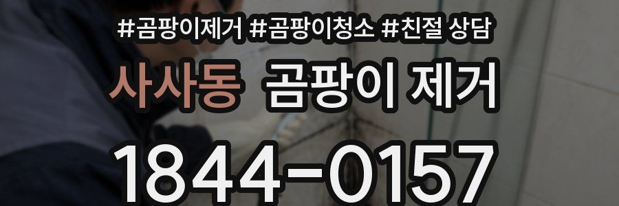 사사동 곰팡이 제거