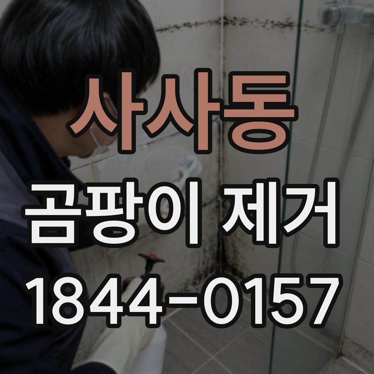 사사동 곰팡이 제거