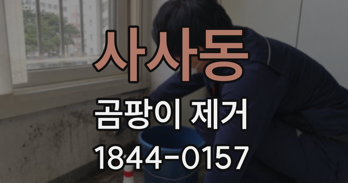 사사동 곰팡이 제거