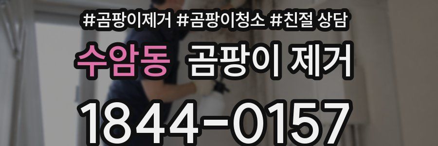 수암동 곰팡이 제거