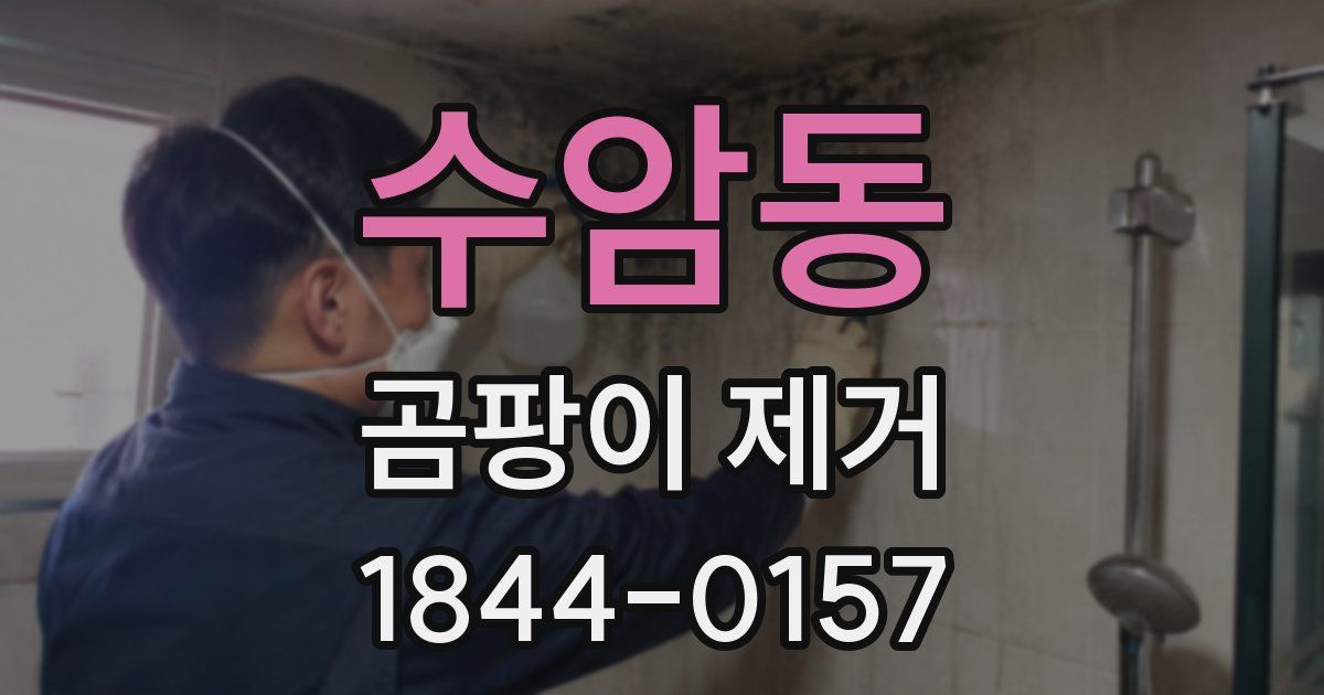 수암동 곰팡이 제거