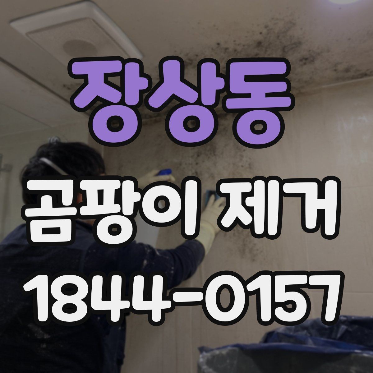 장상동 곰팡이 제거 전후 사진으로 보는 진행 단계