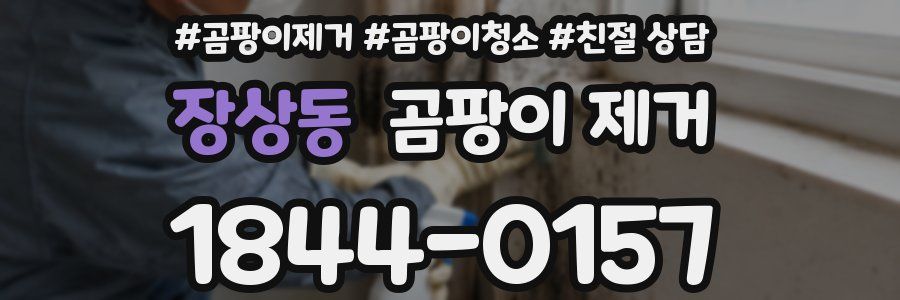 장상동 곰팡이 제거