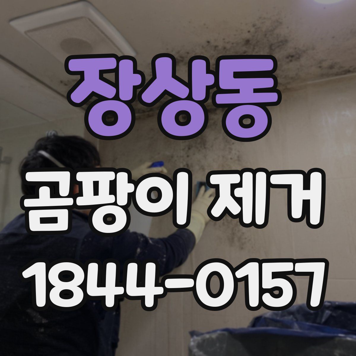 장상동 곰팡이 제거