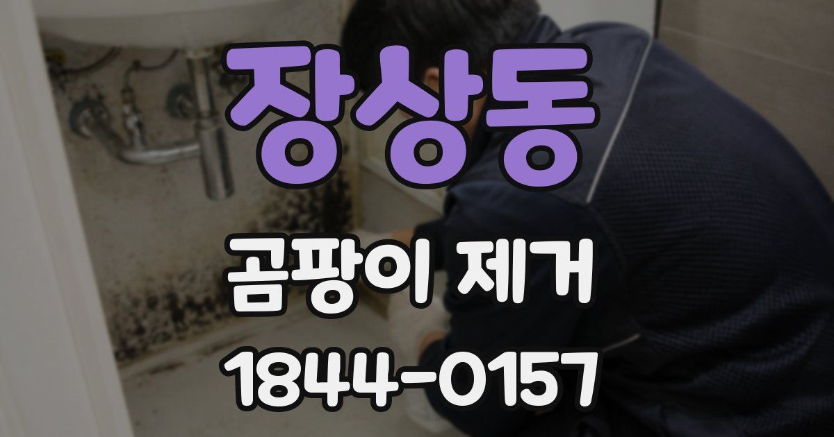 장상동 곰팡이 제거