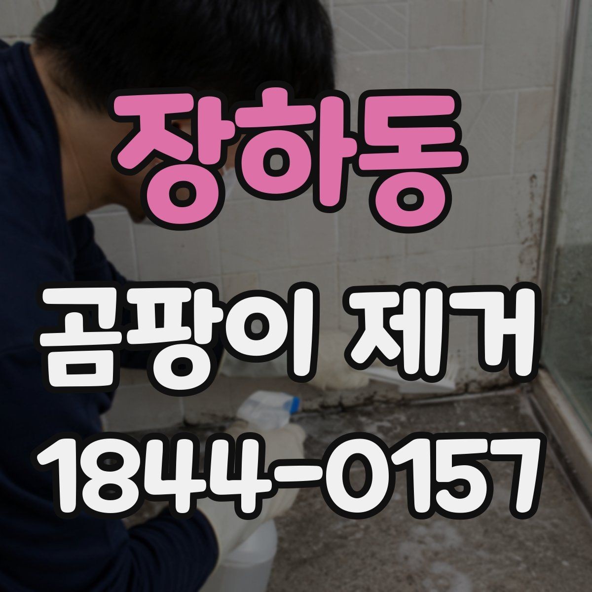 장하동 곰팡이 제거 전후로 달라지는 공간 관리